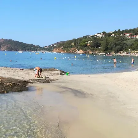 Dolce - Vue